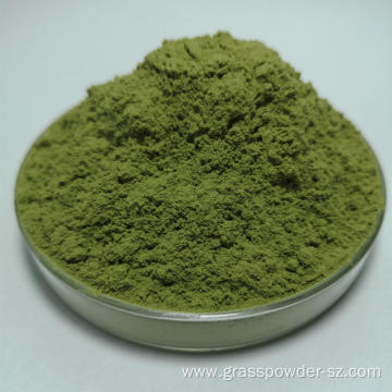 organic oat grass juice powder